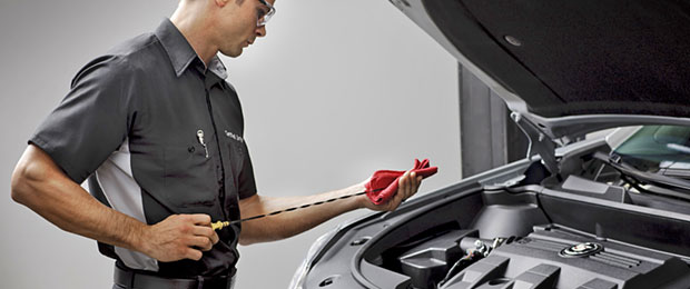Auto Repair Mechanic