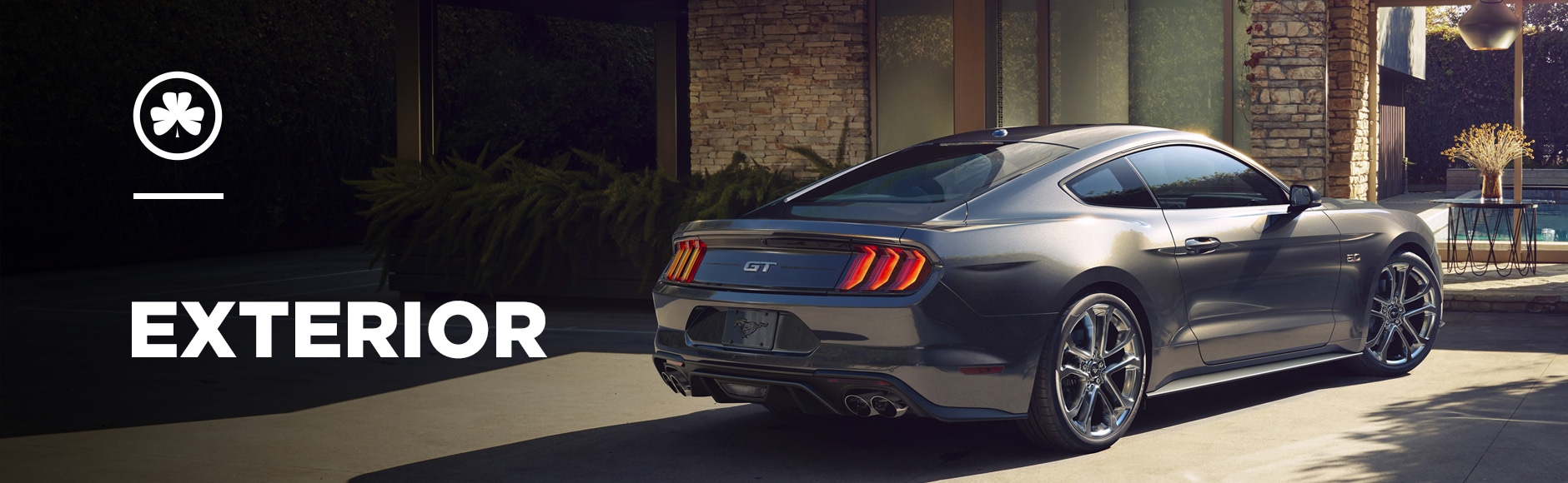 2019 Ford Mustang Exterior 2019 Ford Mustang Exterior