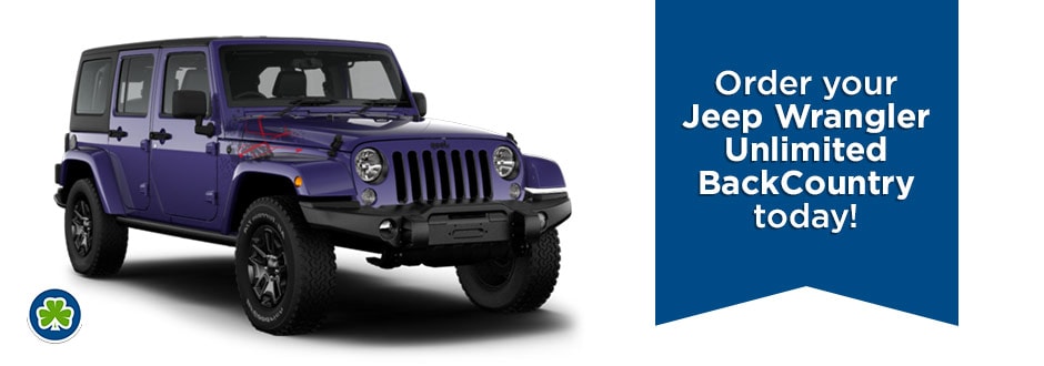 Purple Jeep Wrangler Back Country