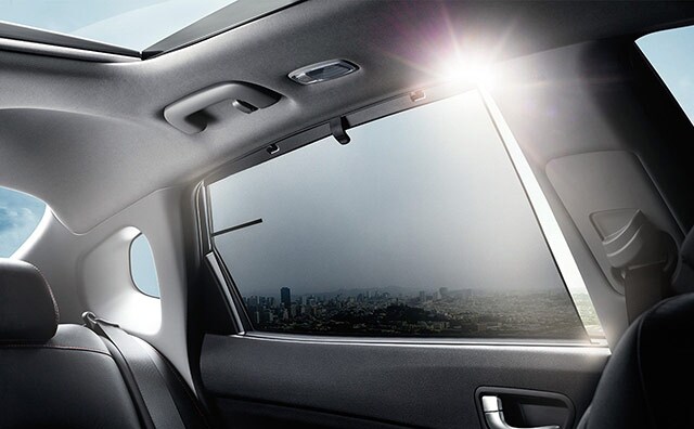 Kia Optima Backseat Shades