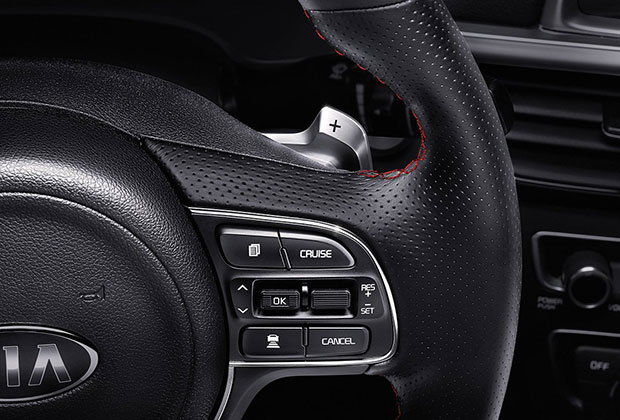 Steering wheel paddle shifters