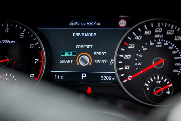 Digital Instrument Cluster LCD