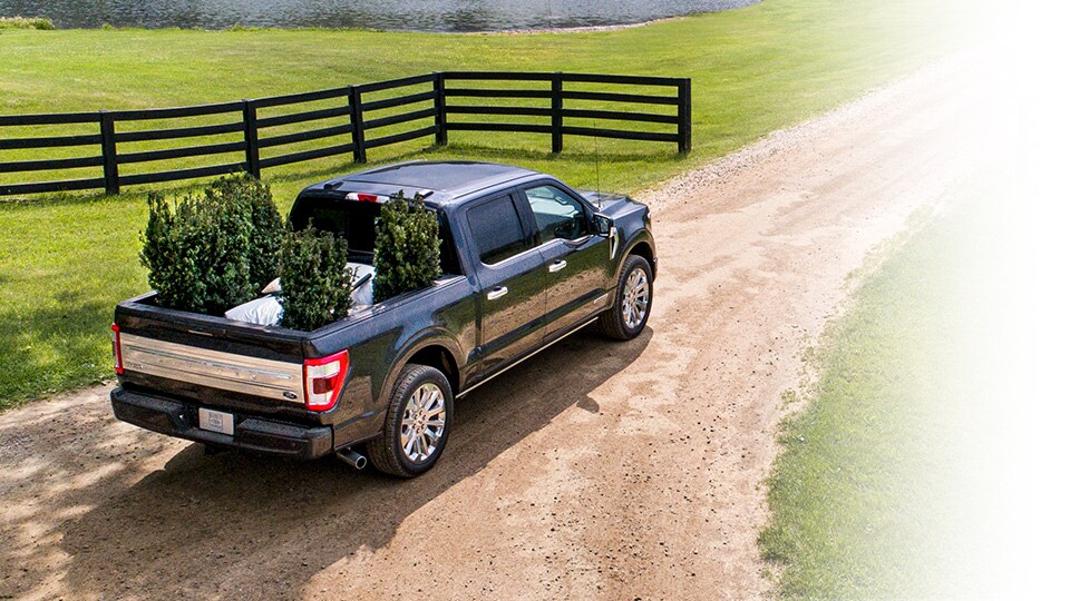 2021 Ford F150 truck bed