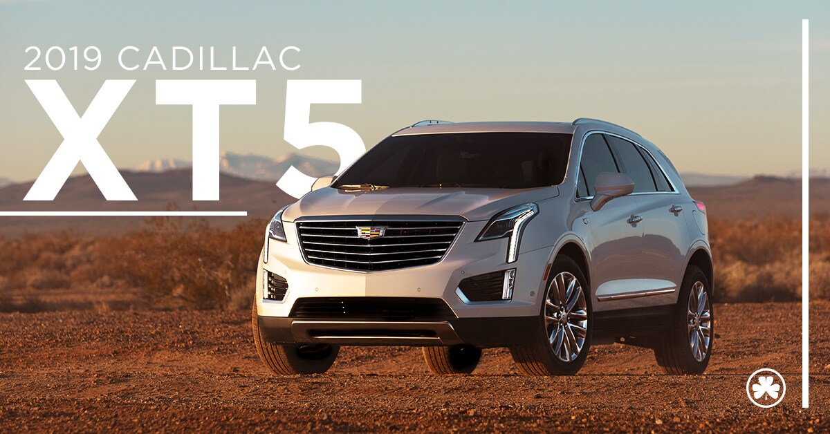 2019 white Cadillac XT5 parked out in the open with mountains in the back