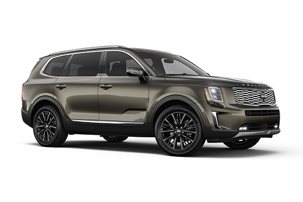 Telluride 8 seat SUV