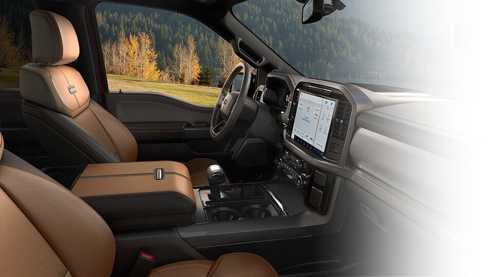 F-150 360 back-up camera