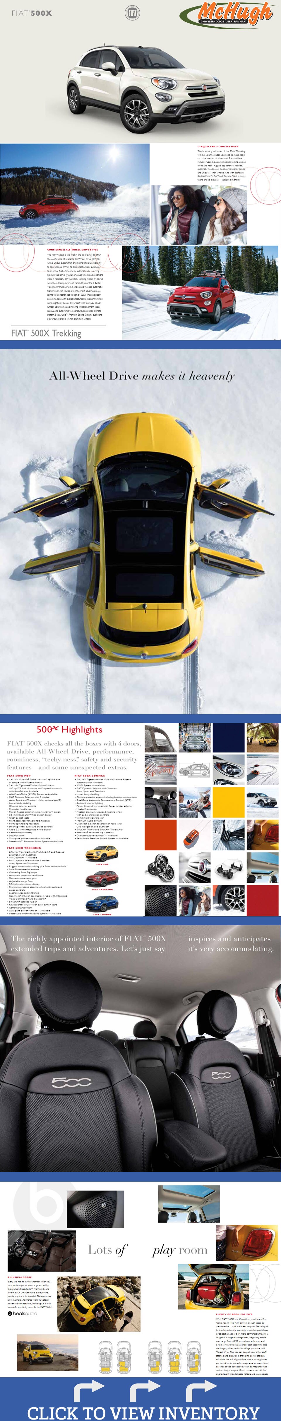Fiat Custom Page.jpg