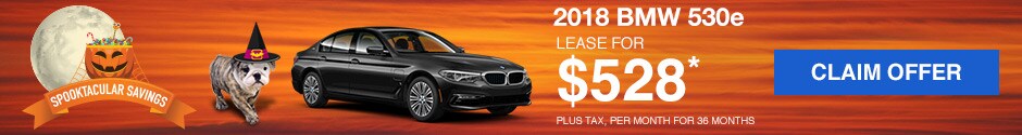 McKenna BMW 530e