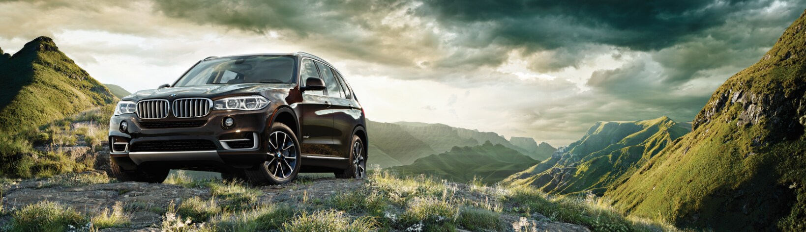 2017 BMW X5 2017 BMW X5