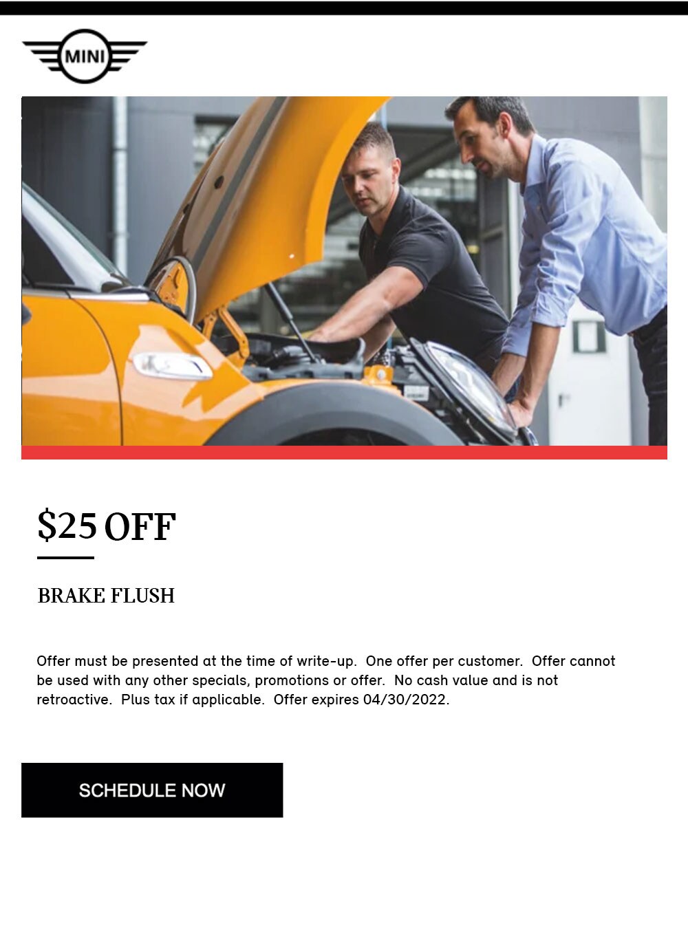 APRIL-MINI-BRAKE-FLUSH.jpg