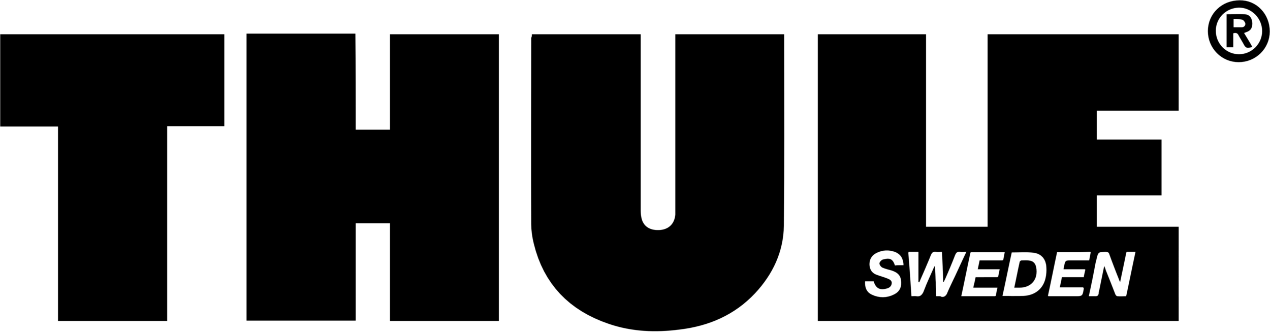 THULE LOGO copy 2.png