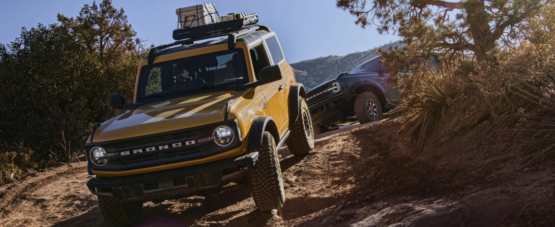 BRONCO WILD-1091x446.webp