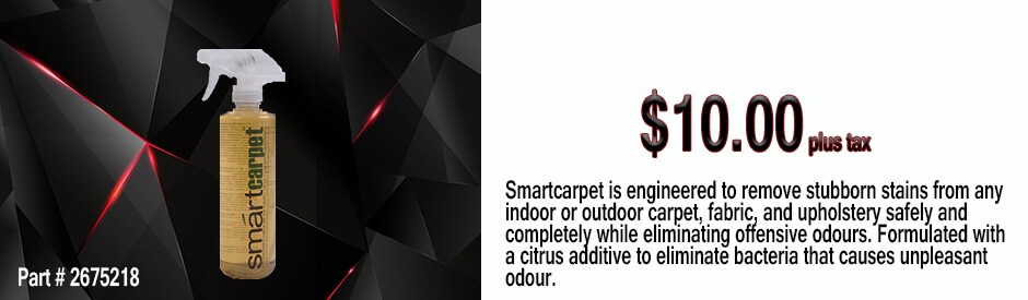 Smart Carpet and description background.jpg