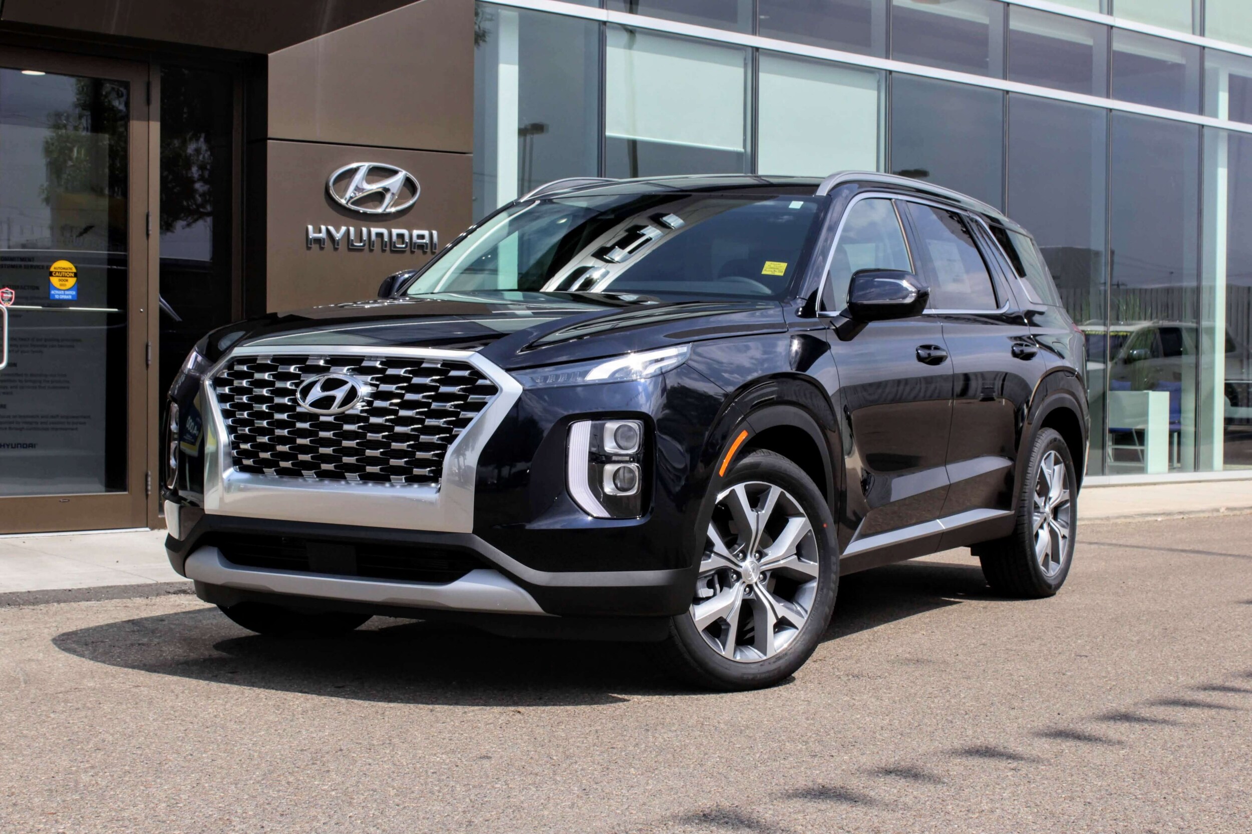 2020 Palisade (1).jpg