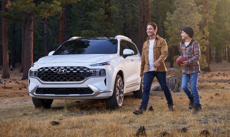2021 Hyundai Santa Fe in a field