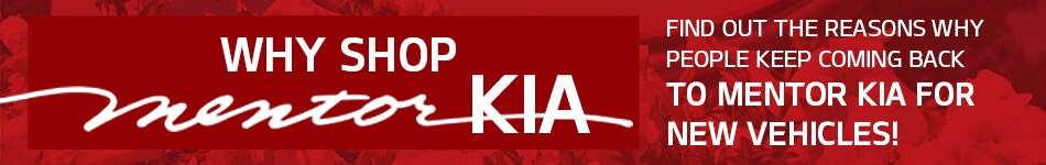 WhyShop_banner.png
