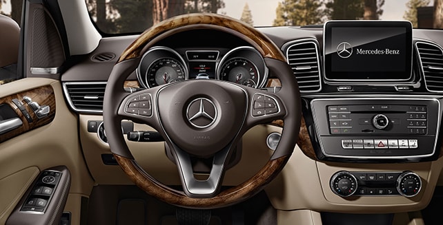 GLE_interior screen.jpg