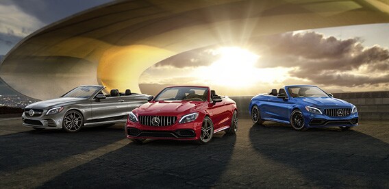 Mercedes-Benz Fleet Program Mercedes-Benz Fleet Program