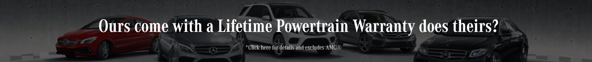 Lifetime-Warranty-Banner.gif
