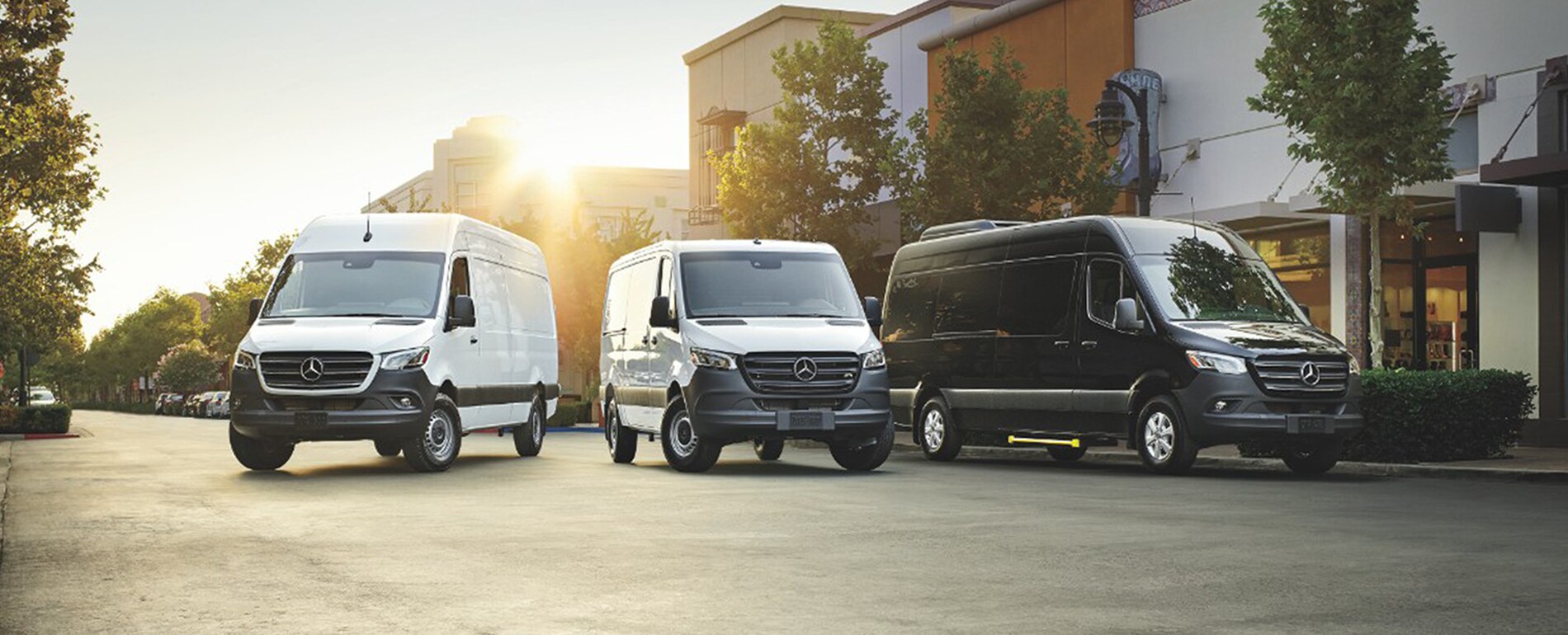 Sprinter Van Landing Page.jpg