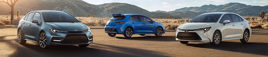 corolla-footer.png