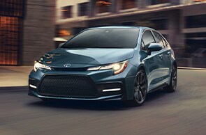 corolla-1.png