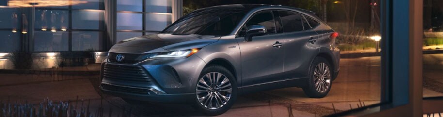 venza-researchpg.jpg