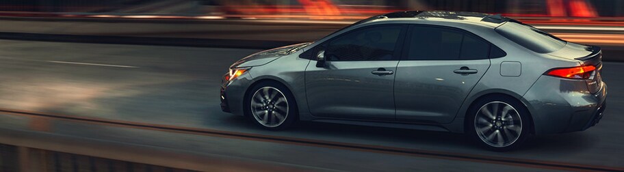 corolla-header.png