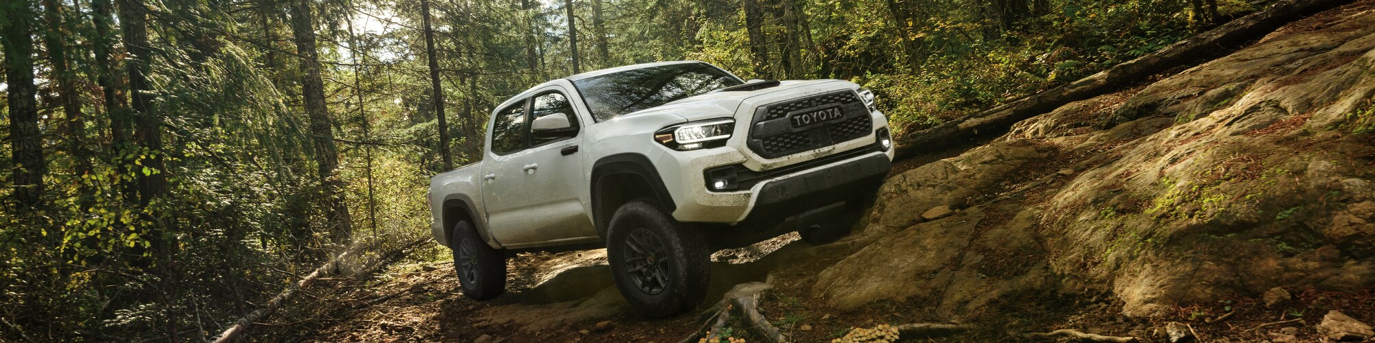 New Toyota Tacoma New Toyota Tacoma TRD in the woods