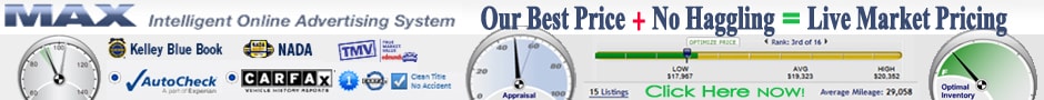 Max Intelligent Online Advertising System.jpg