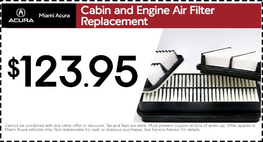 Cabin and Engine Air Filter Replacement