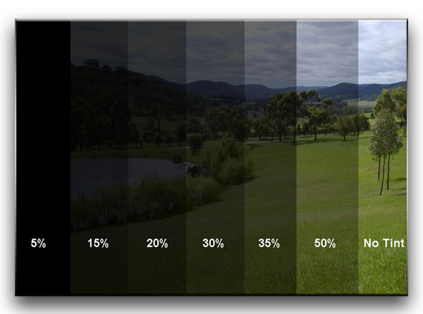 different window tint percentages