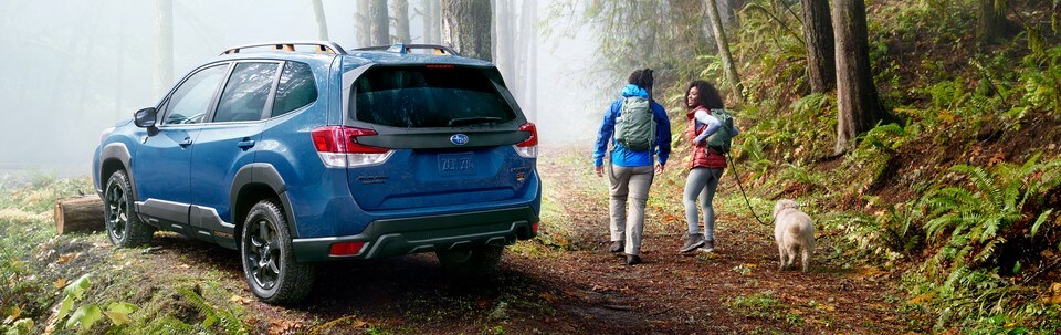 2022 Subaru Forester For Sale in Chicago, IL