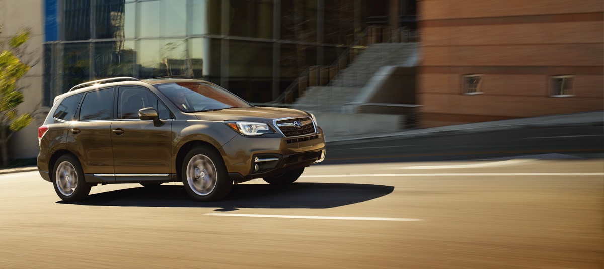 Forester-Banner.jpg