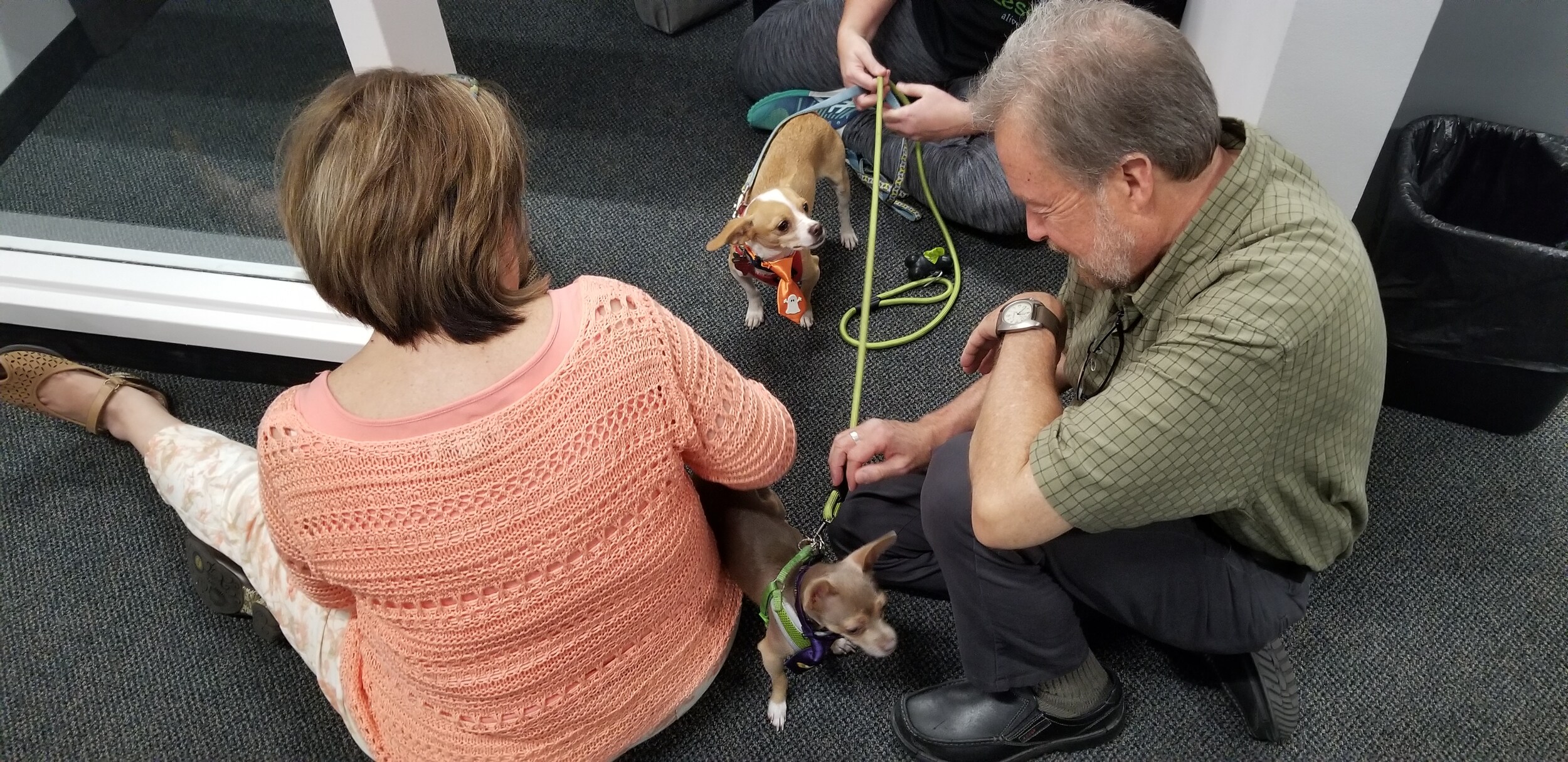 Subaru Pet Adoption Event