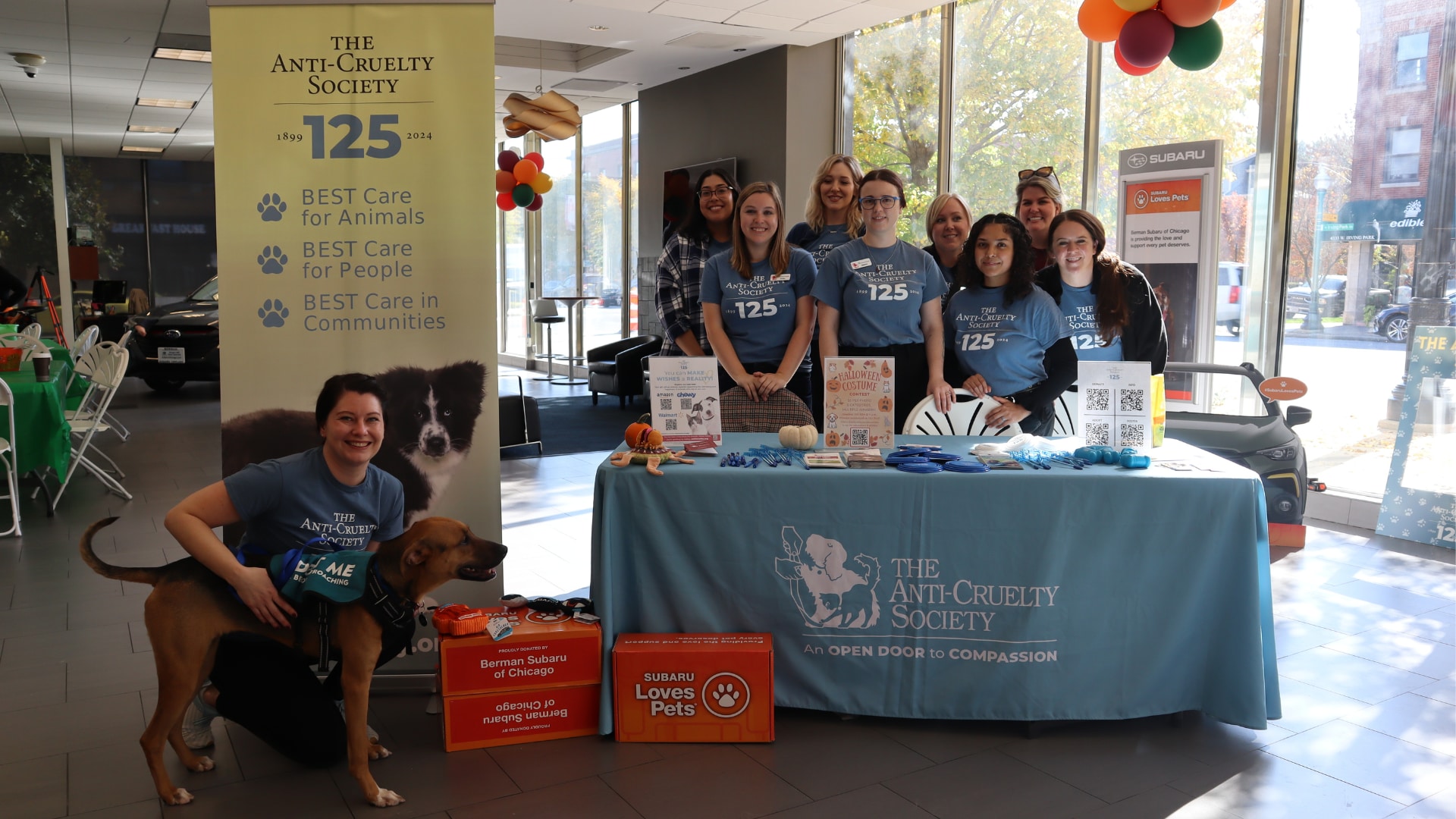 ACS Adoption Event.png