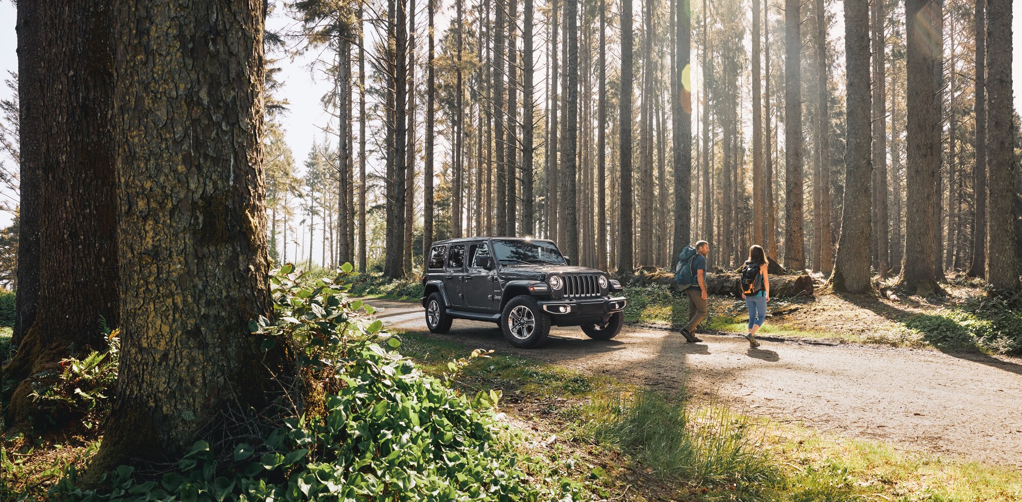 New Jeep Wrangler New Jeep Wrangler