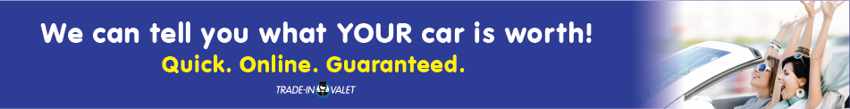 New VLP- banner-01 (1).png