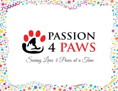 passion-for-paws.jpg