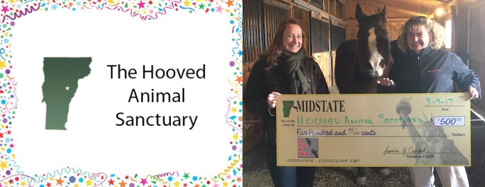 February 2017 Charity Winner