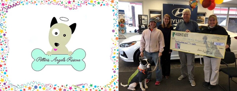 potter's angels rescue charity winnter
