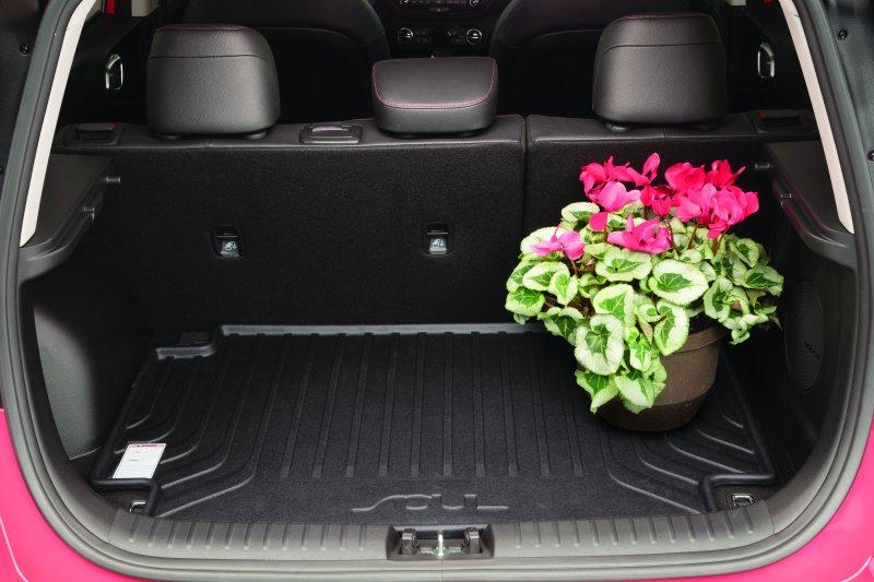 Kia_Soul_Cargo_Tray.jpg