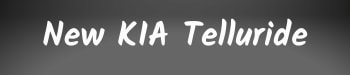 New_Kia_Telluride_Quick_Link.png