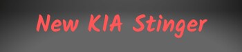New_Kia_Stinger_Quick_Link.png
