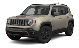 RENEGADE DESERT HAWK