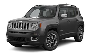 RENEGADE LIMITED