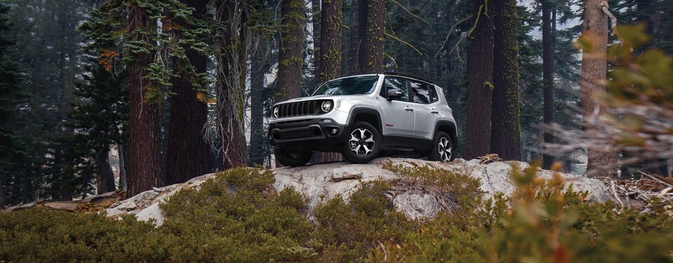 2020-Jeep-Renegade-Trailhawk-SUV-L09 (2).png