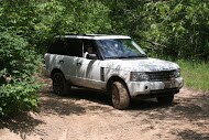 IMG_5931.JPG