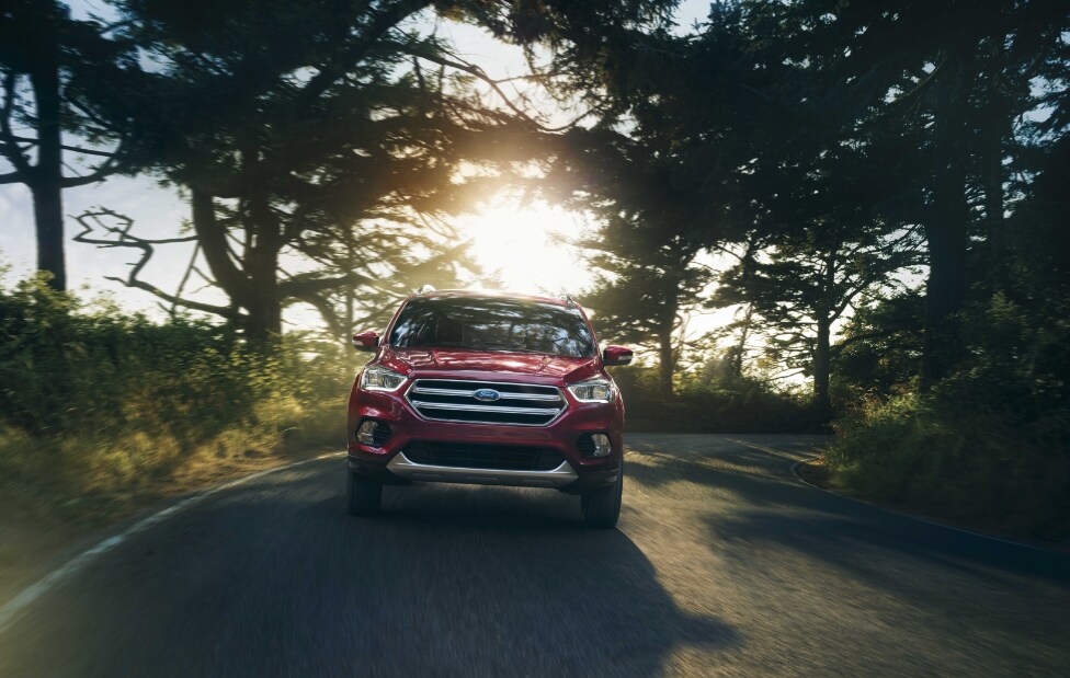 2017 Ford Escape for sale in Sheffield, OH 2017 Ford Escape for sale in Sheffield, OH