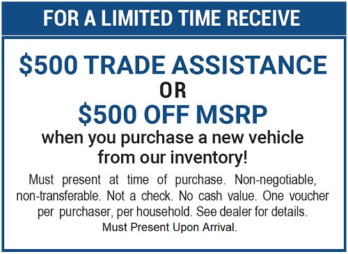 Hyundai Payment Challenge Coupon.png